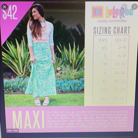 Lula Roe Maxi Skirt - Picture 6 of 6